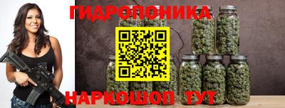 гашик Жуковский