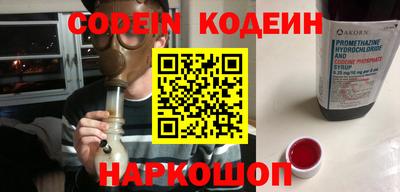 гашик Жуковский