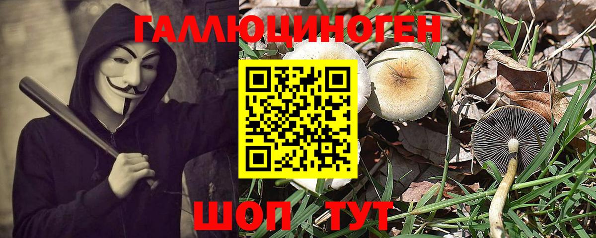 купить   Галлюциногенные грибы MAGIC MUSHROOMS  Михайловка  Вход с VPN  Галлюциногенные грибы Psilocybine cubensis 